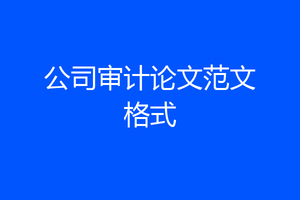 公司审计论文范文格式