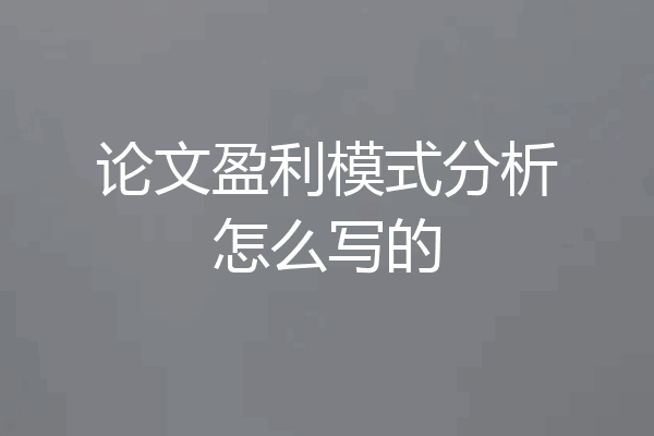 论文盈利模式分析怎么写的