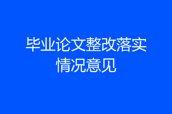 毕业论文整改落实情况意见