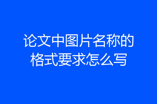 论文中图片名称的格式要求怎么写