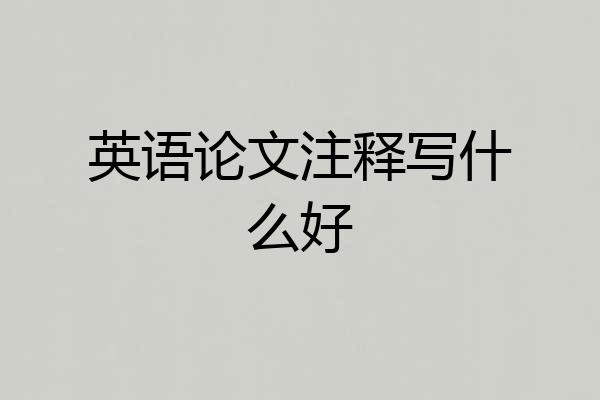 英语论文注释写什么好