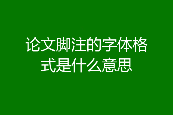 论文脚注的字体格式是什么意思