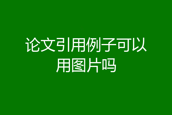 论文引用例子可以用图片吗