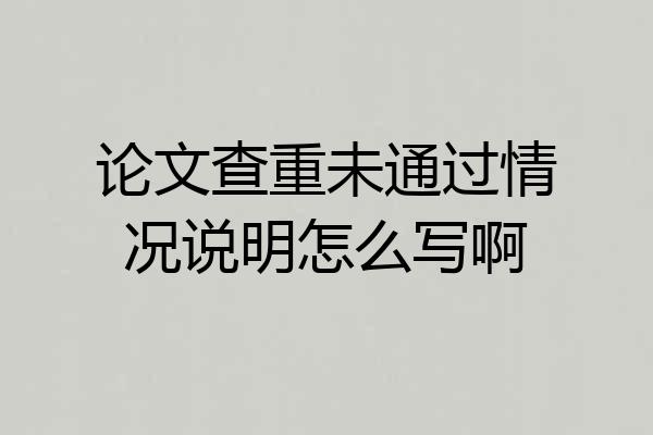 论文查重未通过情况说明怎么写啊