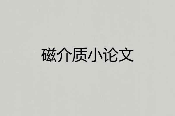 磁介质小论文
