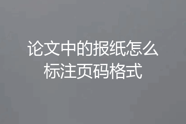 论文中的报纸怎么标注页码格式