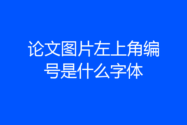 论文图片左上角编号是什么字体