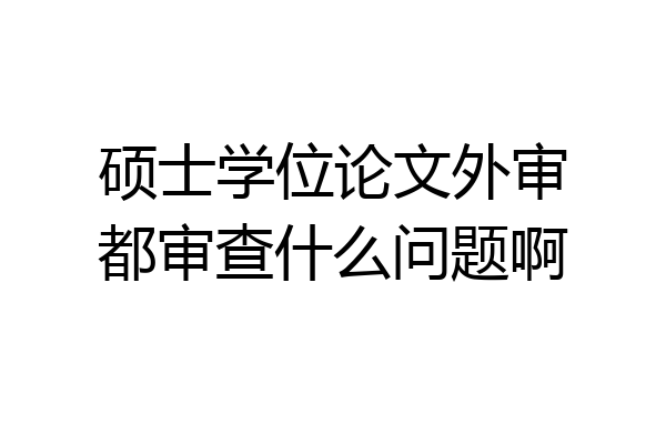 硕士学位论文外审都审查什么问题啊