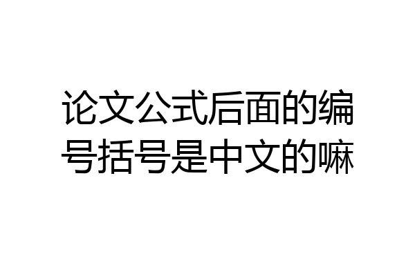 论文公式后面的编号括号是中文的嘛