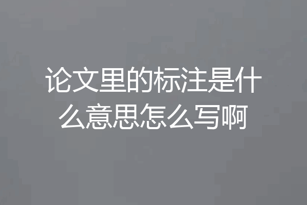 论文里的标注是什么意思怎么写啊