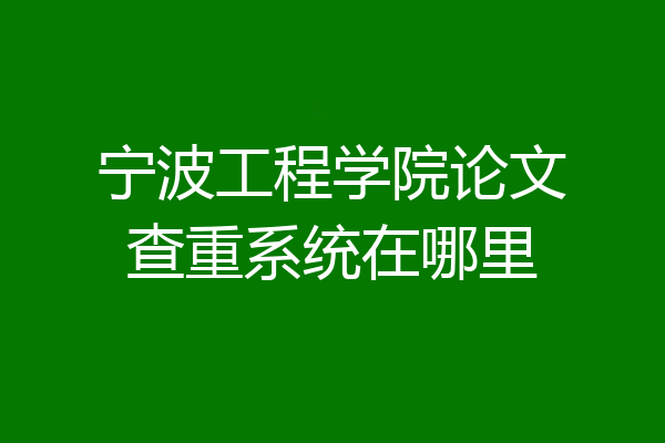 宁波工程学院论文查重系统在哪里