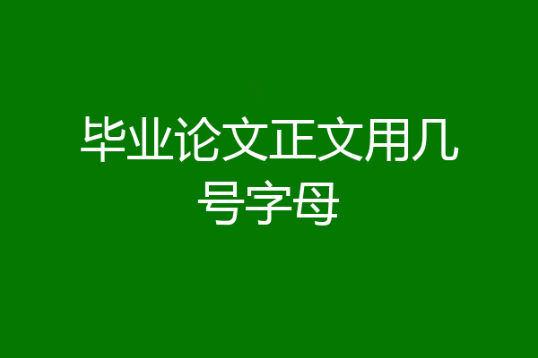 毕业论文正文用几号字母
