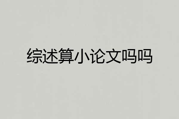 综述算小论文吗吗
