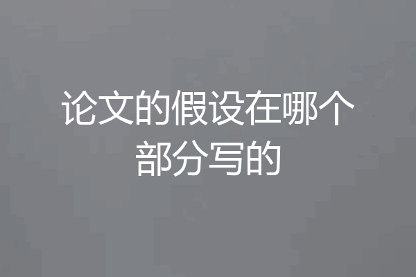 论文的假设在哪个部分写的