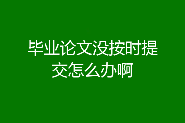 毕业论文没按时提交怎么办啊