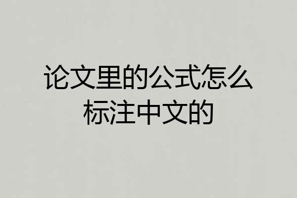 论文里的公式怎么标注中文的