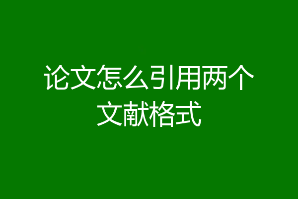论文怎么引用两个文献格式