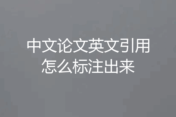 中文论文英文引用怎么标注出来