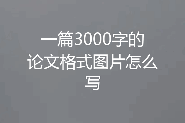 一篇3000字的论文格式图片怎么写