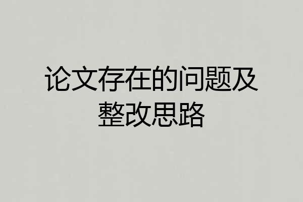 论文存在的问题及整改思路