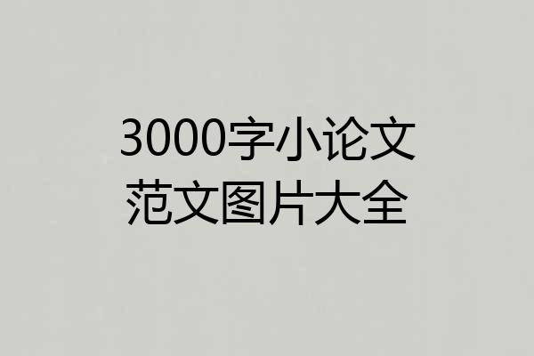 3000字小论文范文图片大全