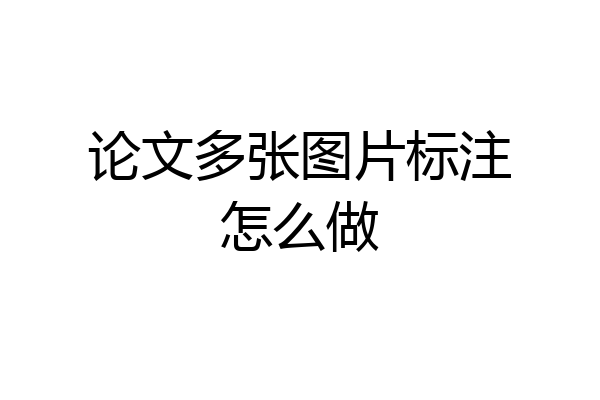 论文多张图片标注怎么做