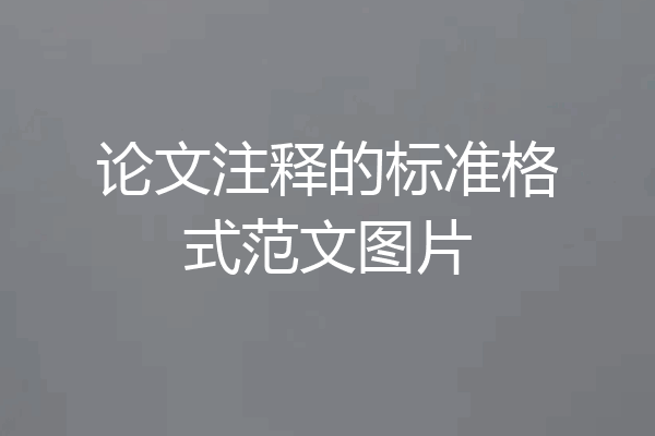 论文注释的标准格式范文图片