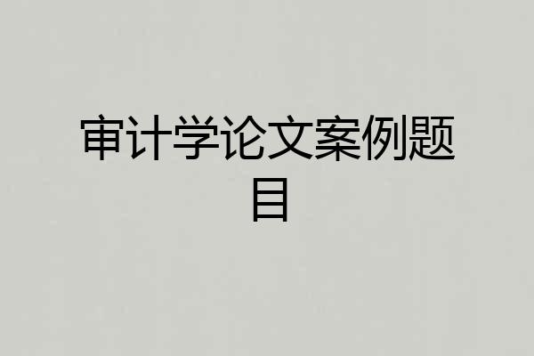 审计学论文案例题目