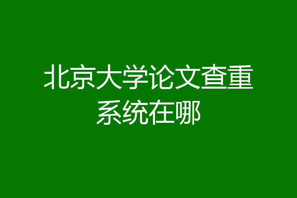 北京大学论文查重系统在哪