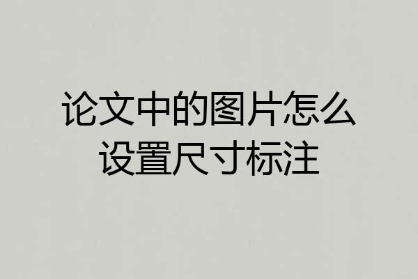 论文中的图片怎么设置尺寸标注