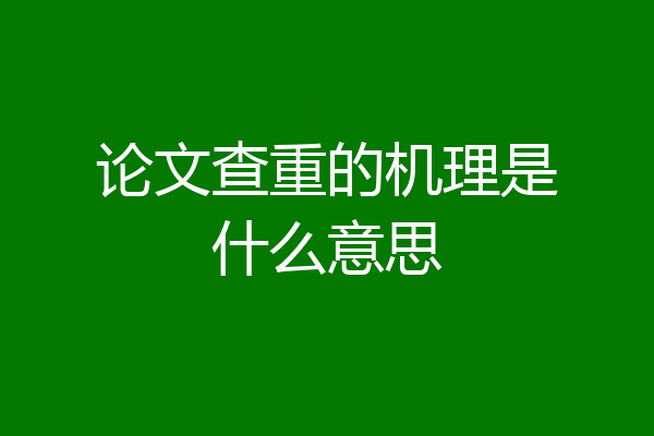 论文查重的机理是什么意思