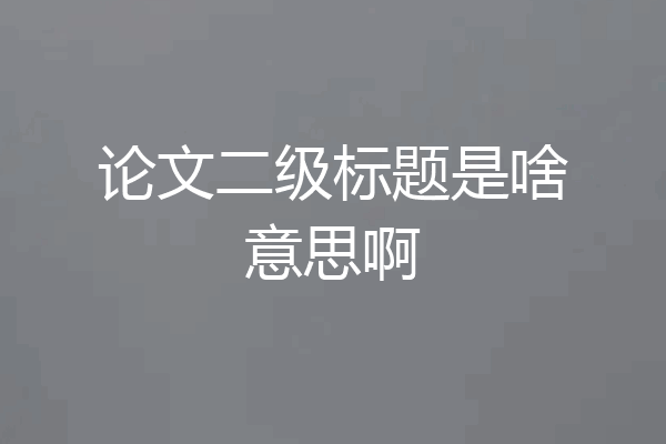 论文二级标题是啥意思啊