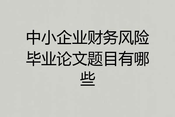 中小企业财务风险毕业论文题目有哪些