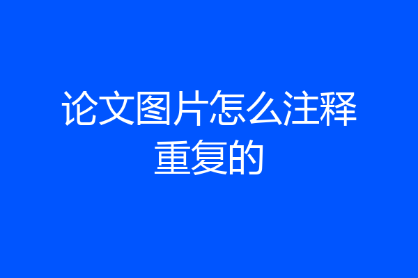 论文图片怎么注释重复的
