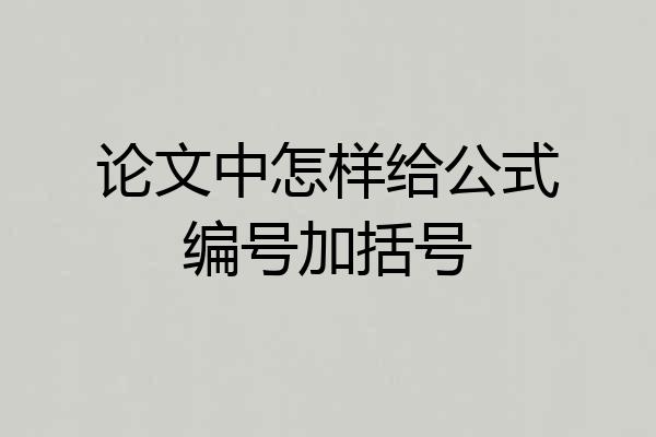 论文中怎样给公式编号加括号