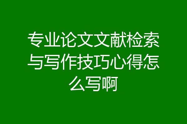 专业论文文献检索与写作技巧心得怎么写啊