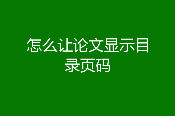 怎么让论文显示目录页码