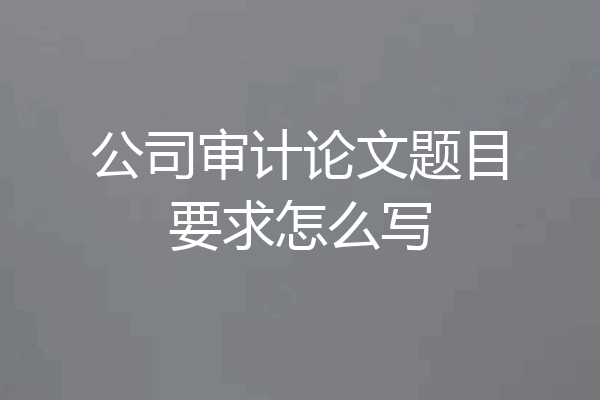 公司审计论文题目要求怎么写