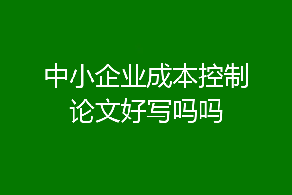 中小企业成本控制论文好写吗吗