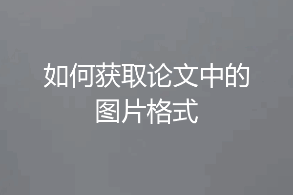 如何获取论文中的图片格式