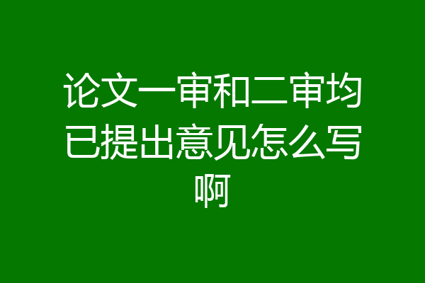 论文一审和二审均已提出意见怎么写啊