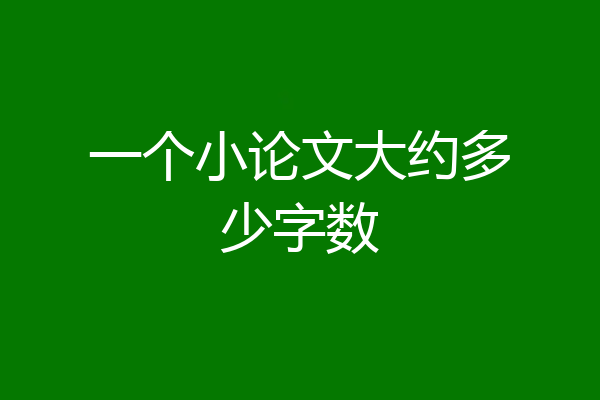 一个小论文大约多少字数