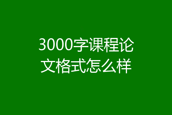 3000字课程论文格式怎么样
