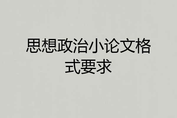 思想政治小论文格式要求