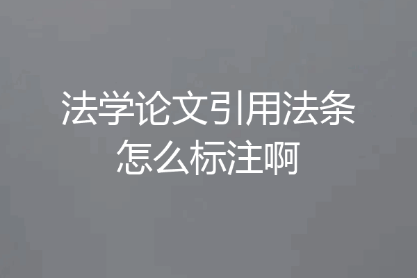 法学论文引用法条怎么标注啊