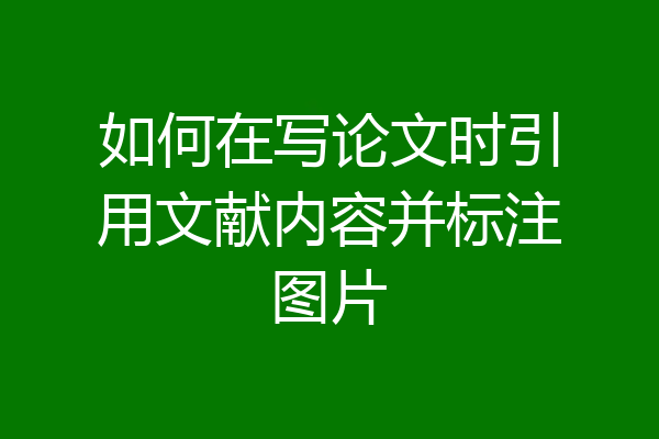 如何在写论文时引用文献内容并标注图片