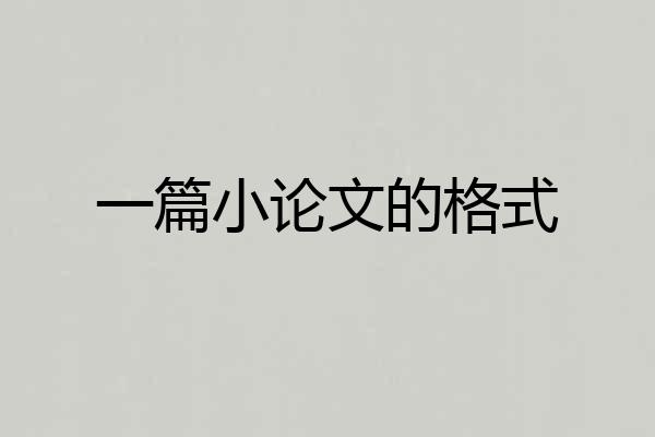 一篇小论文的格式