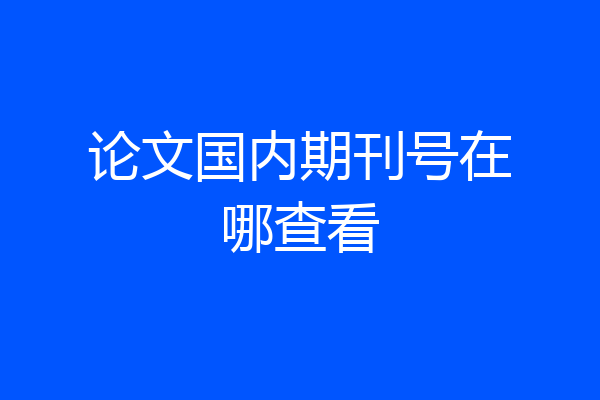 论文国内期刊号在哪查看
