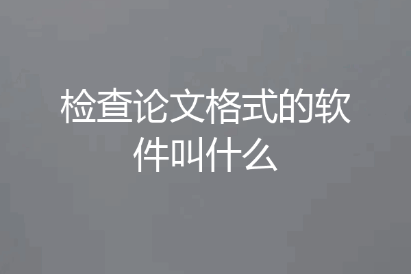 检查论文格式的软件叫什么