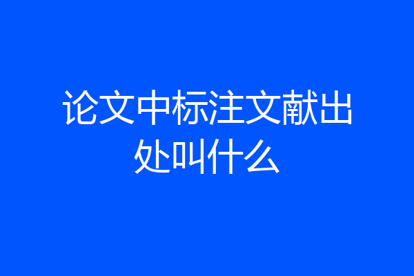 论文中标注文献出处叫什么